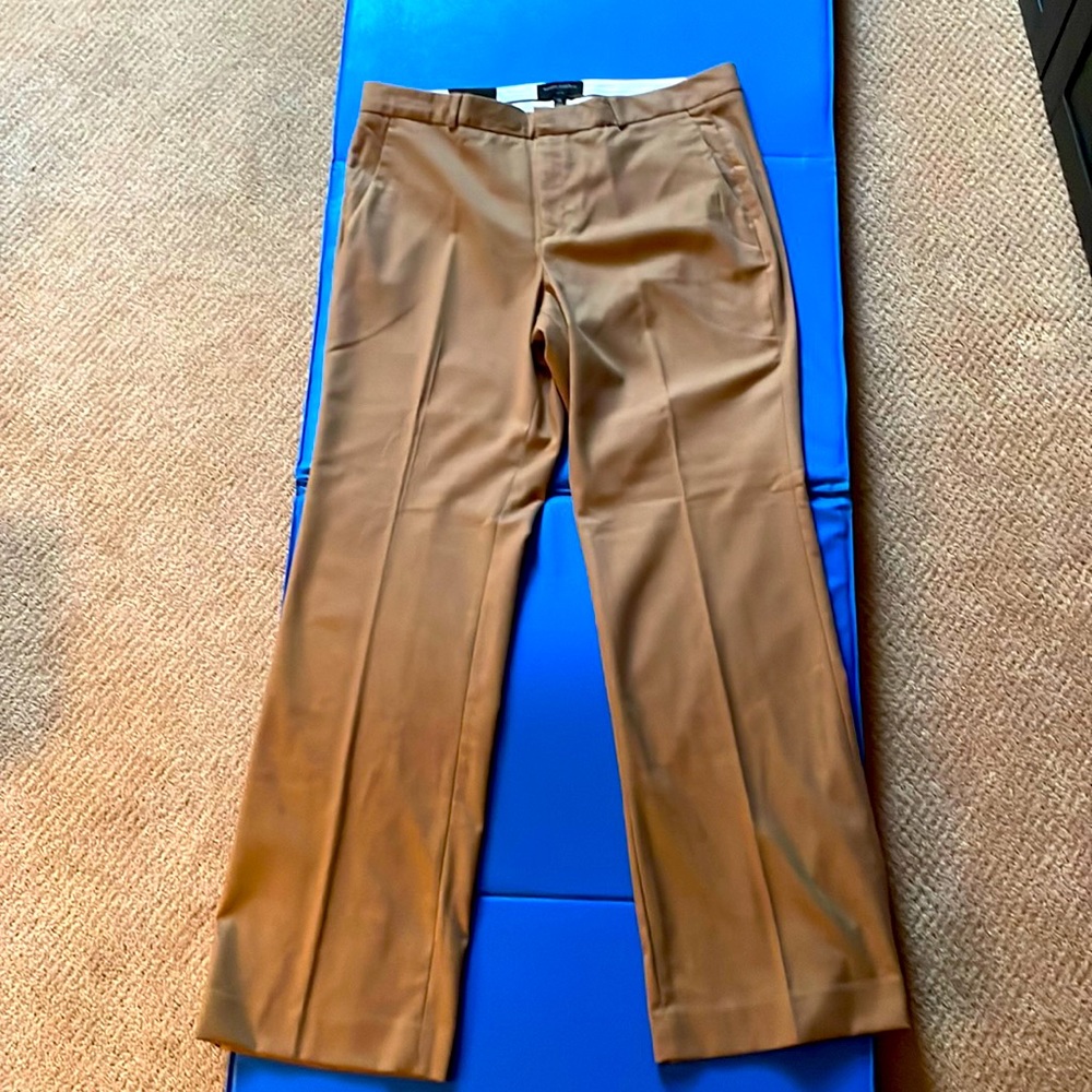 NWT Banana Republic Factory Logan pants